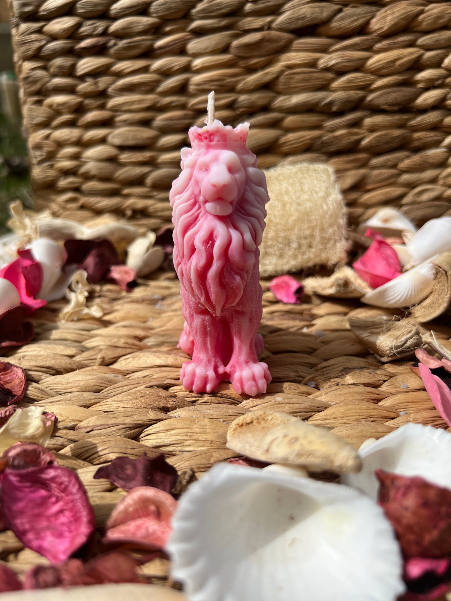 Bougie lion majestueux parfum FLEUR DE COTON