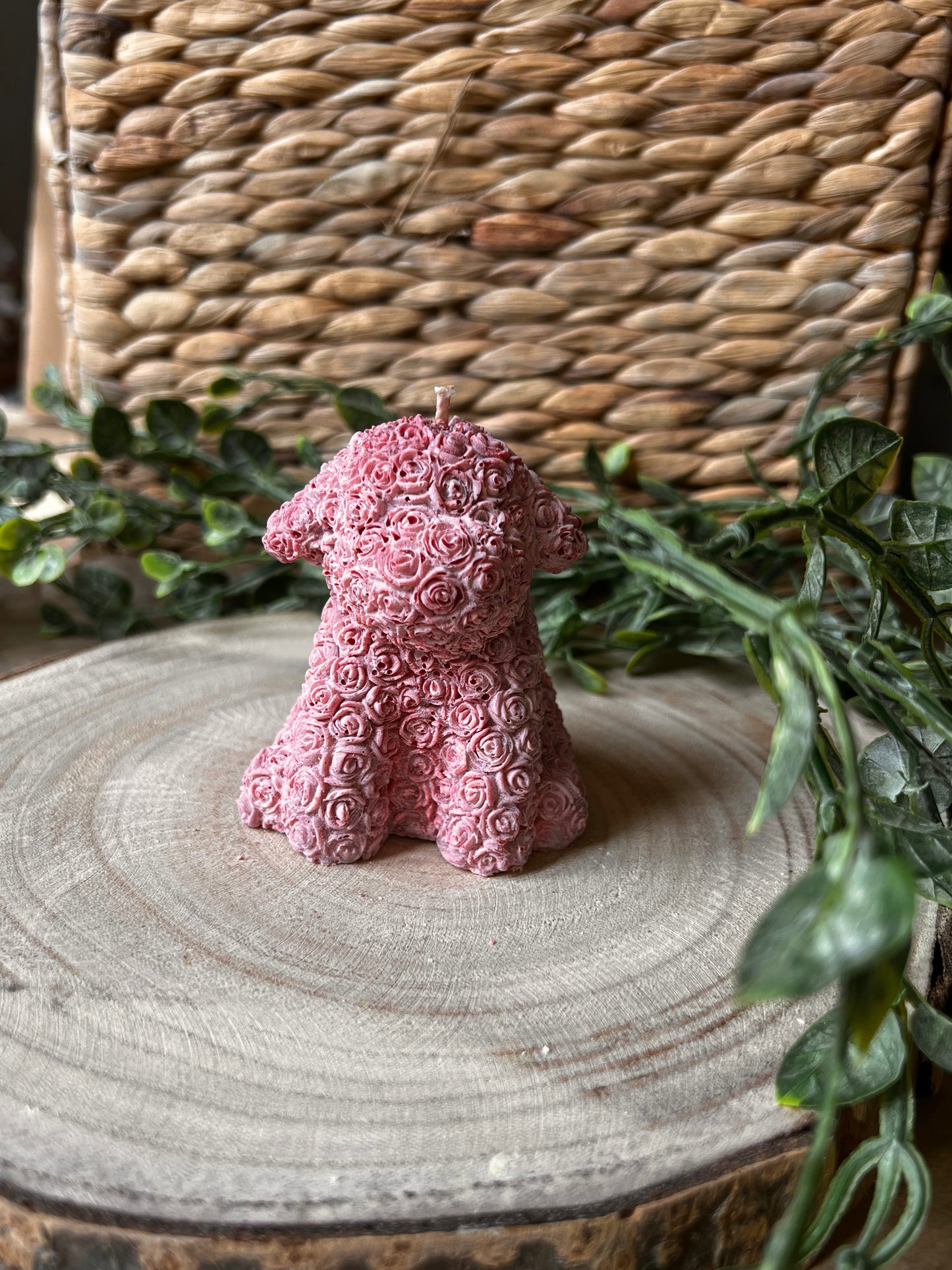 Bougie chien fleurie parfum CERISE NOIRE