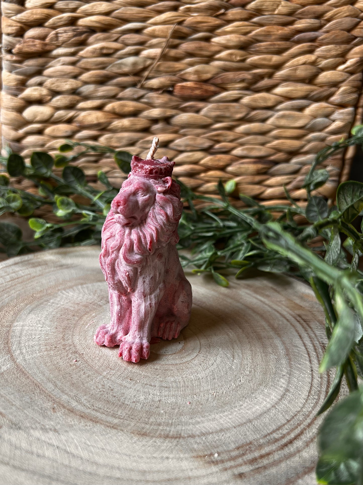 Bougie lion majestueux parfum CERISE NOIRE