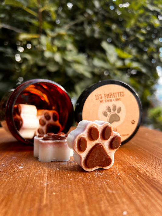 Boîte de fondant - Forme Pâte de chien