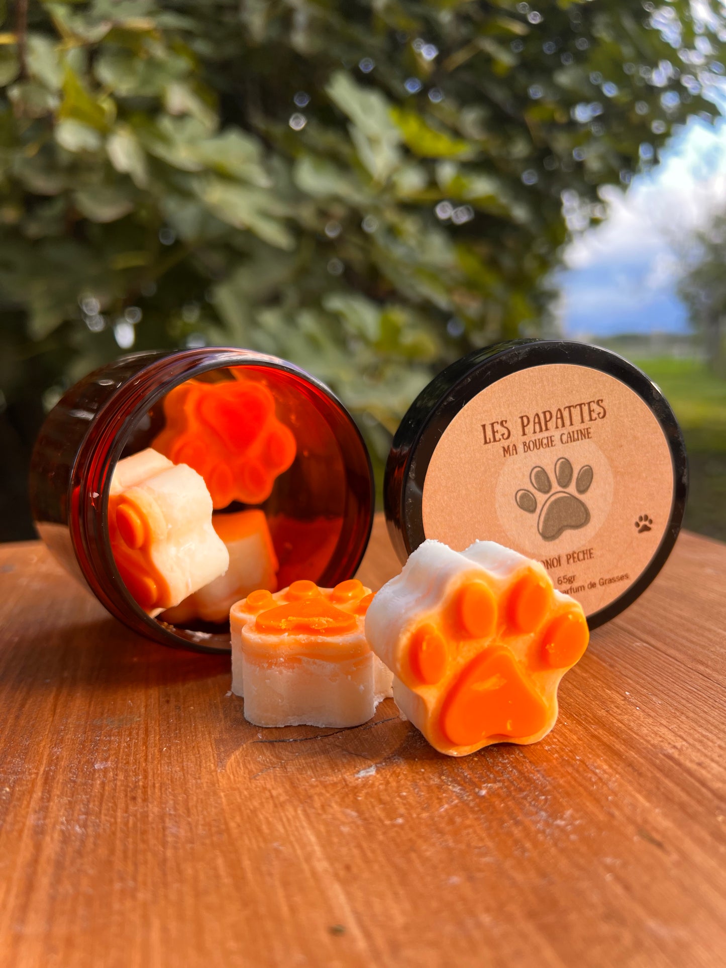 Boîte de fondant - Forme Pâte de chien